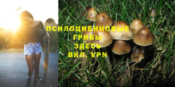 мяу мяу кристалл Елизово