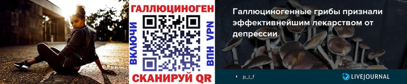 Галлюциногенные грибы Psilocybine cubensis  Купить где  Верея 