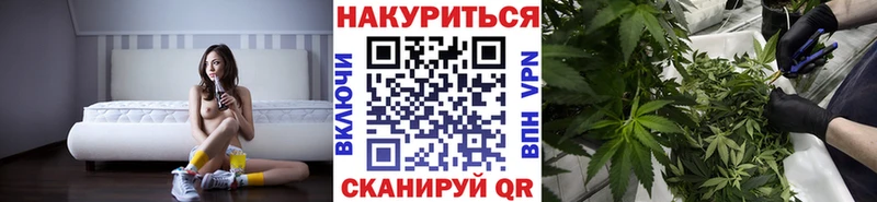 Каннабис индика  Купить закладки  Верея 